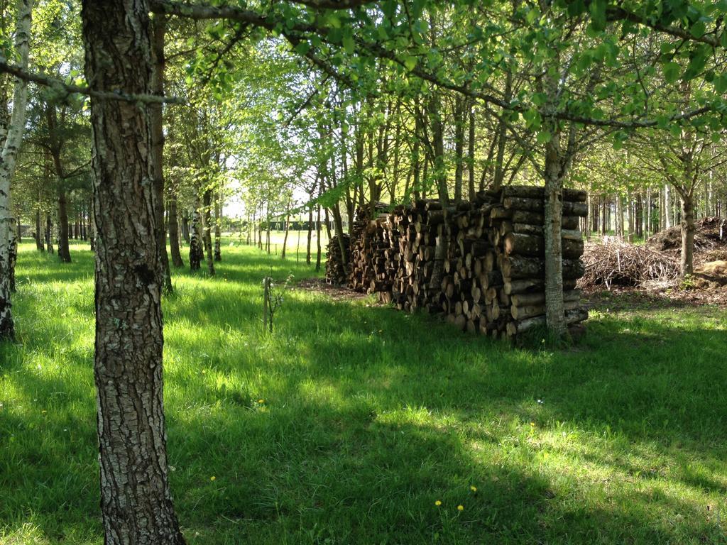 La Marelle Bed and Breakfast Avrillé-les-Ponceaux Værelse billede
